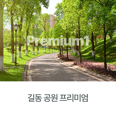 디-아테온-프리미엄1
